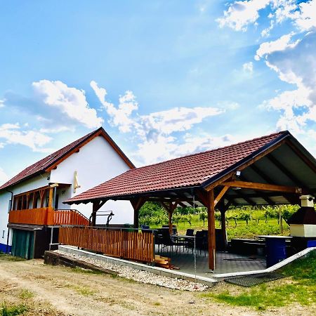 Vinny Sklep U Mna Mutěnice Extérieur photo